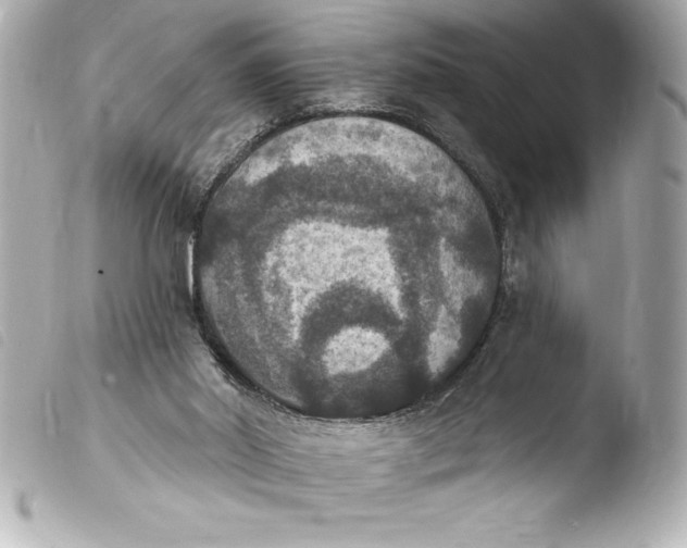 X0000103950014200810031357