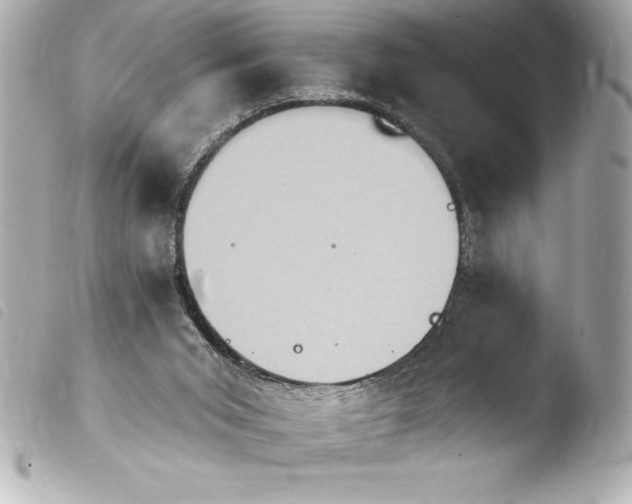 X0000103950015200810031357