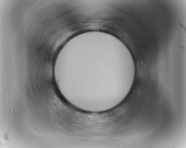 X0000103950016200810031357