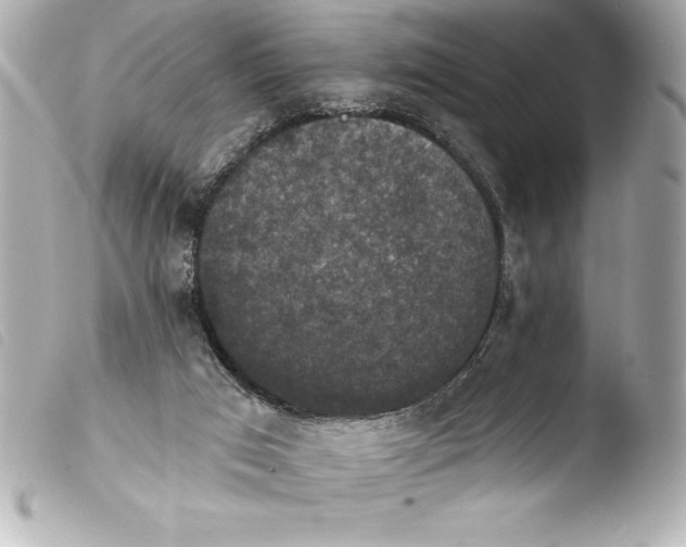 X0000103950017200810031357