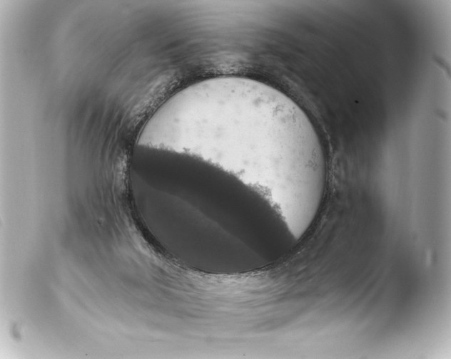 X0000103950018200810031357