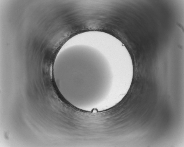 X0000103950019200810031357