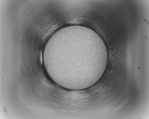 X0000103950020200810031357