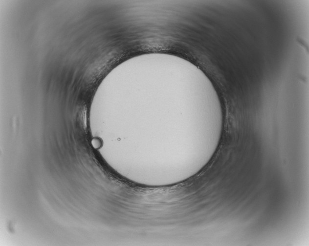 X0000103950021200810031356