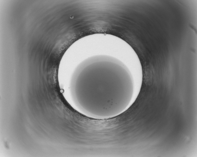 X0000103950023200810031356