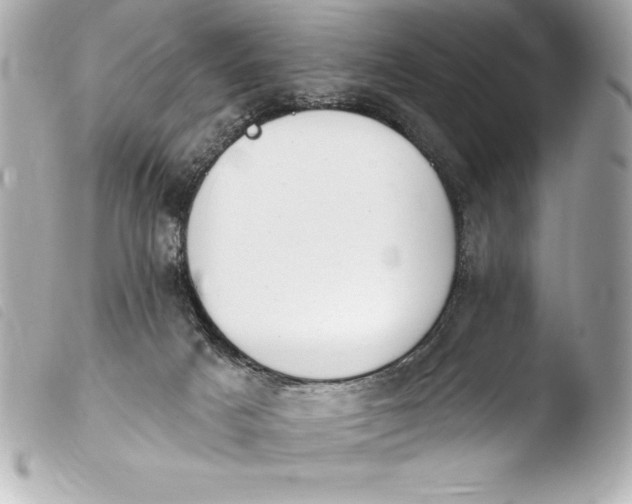 X0000103950025200810031356