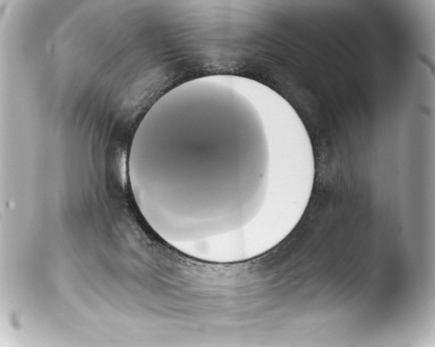 X0000103950027200810031356