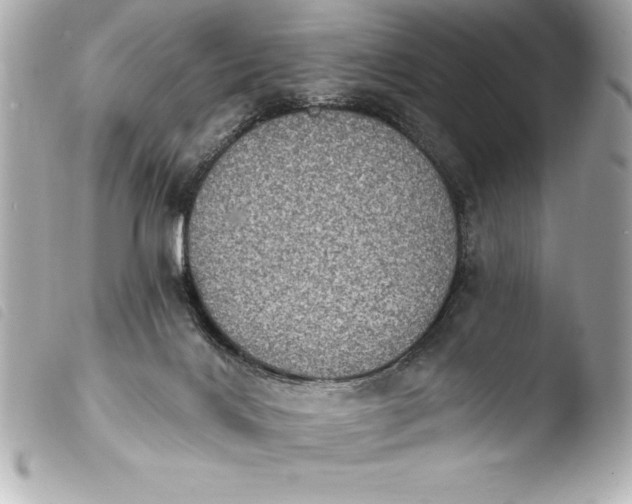 X0000103950028200810031356