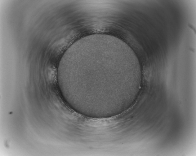 X0000103950029200810031356