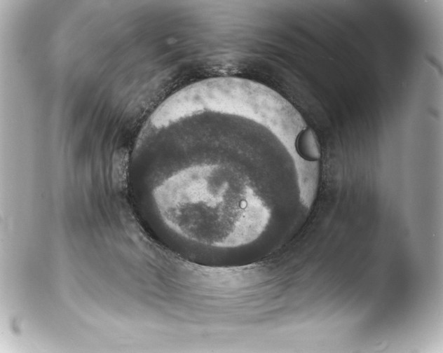 X0000103950030200810031356