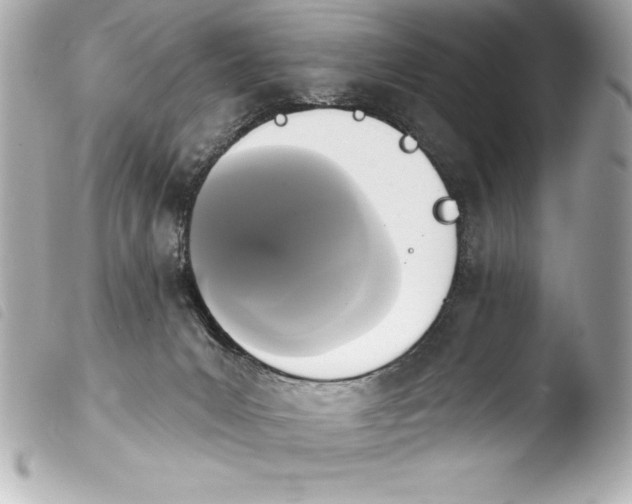 X0000103950031200810031356