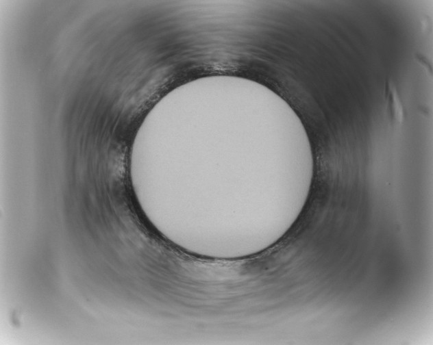 X0000103950032200810031356