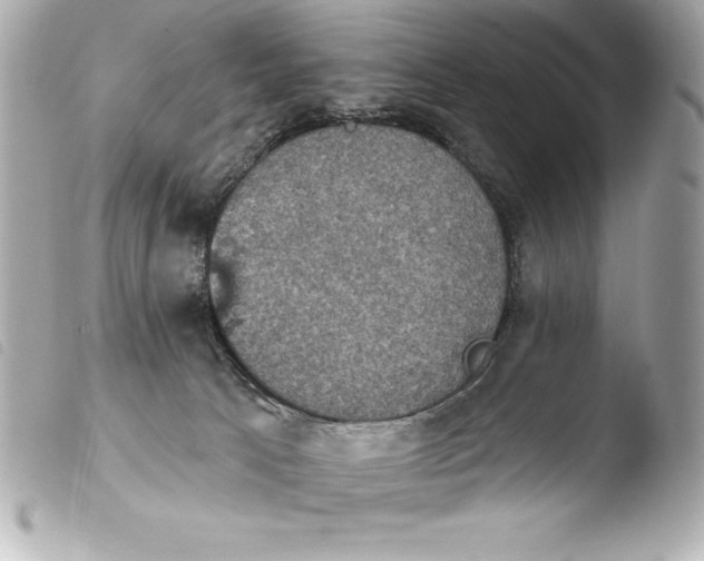 X0000103950033200810031356