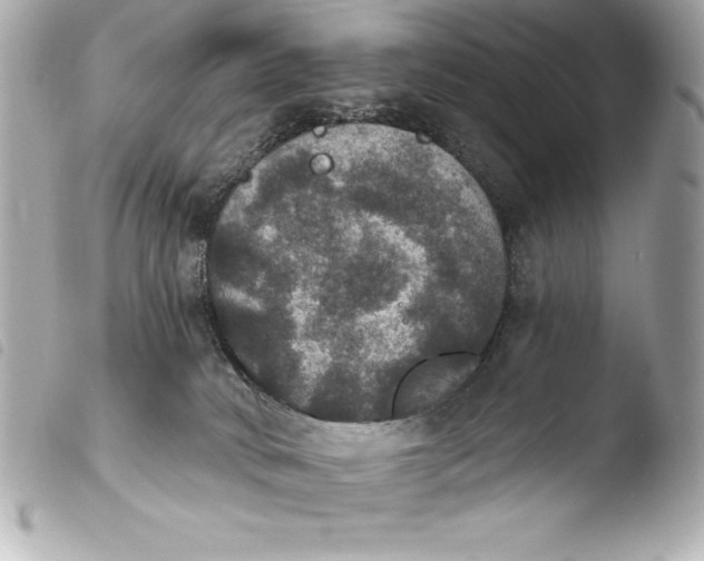 X0000103950034200810031356