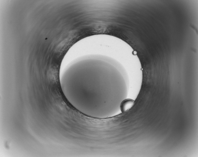 X0000103950035200810031356