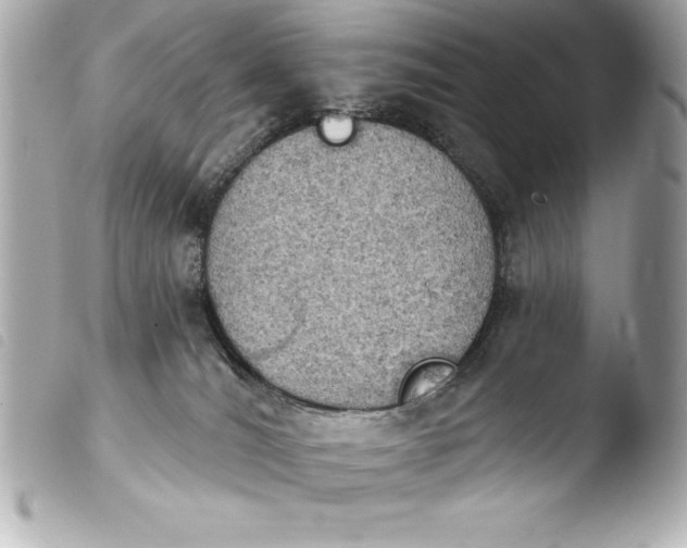 X0000103950036200810031356