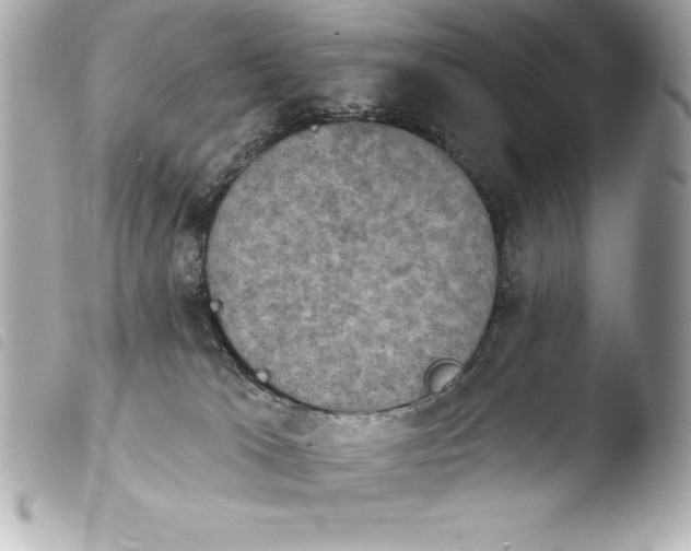 X0000103950037200810031356