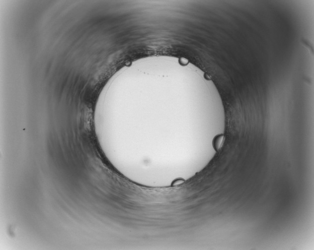 X0000103950038200810031356