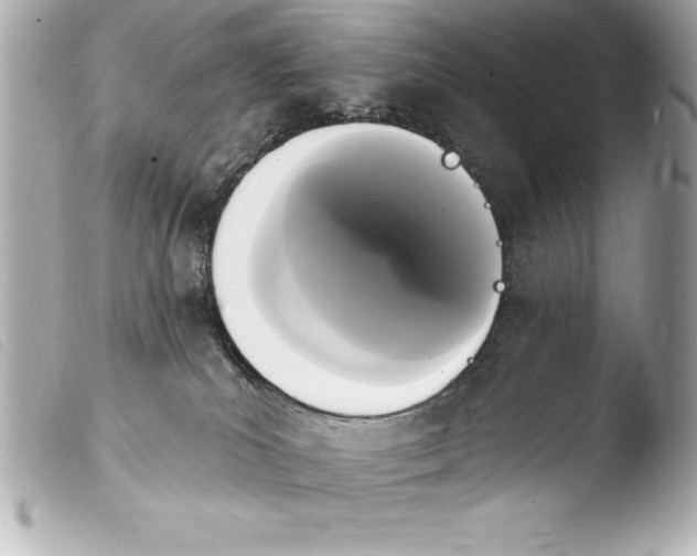 X0000103950039200810031356