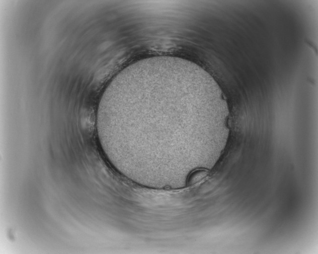 X0000103950040200810031356