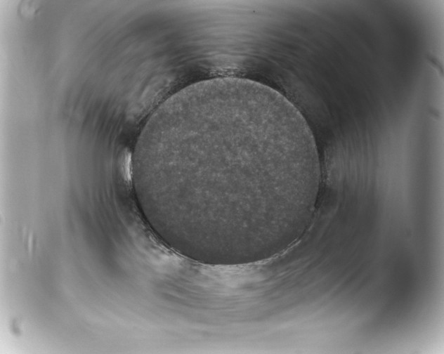 X0000103950041200810031356