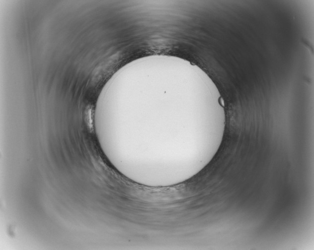 X0000103950042200810031356