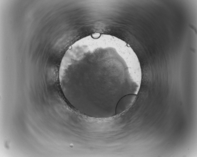 X0000103950043200810031356