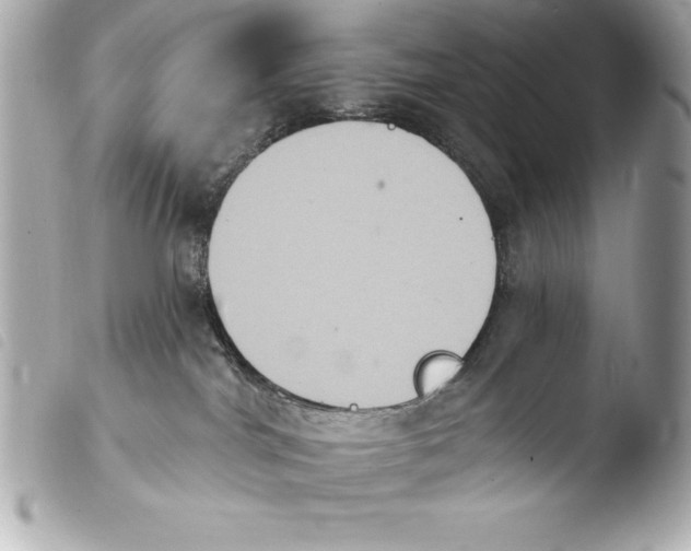 X0000103950044200810031356