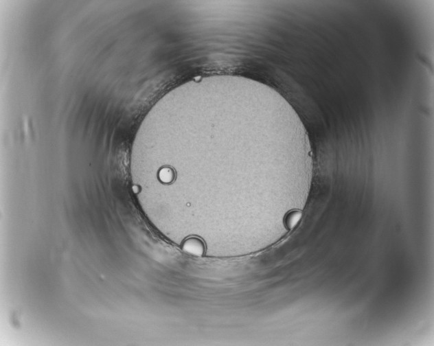 X0000103950045200810031356