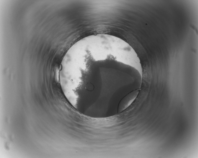 X0000103950046200810031356