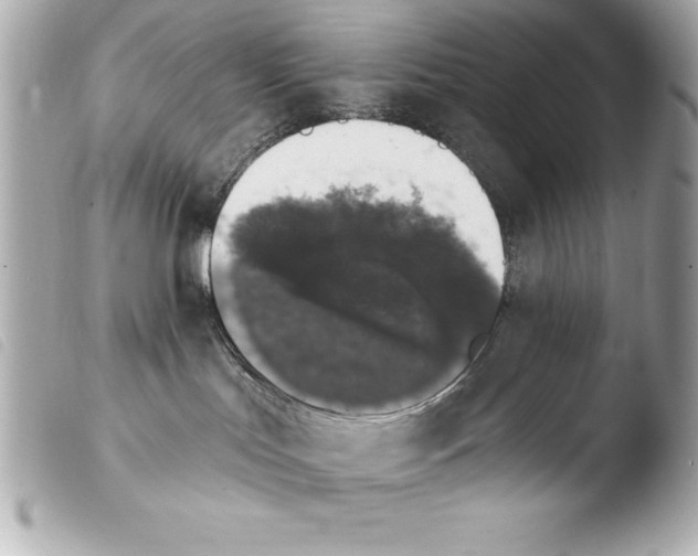 X0000103950047200810031356