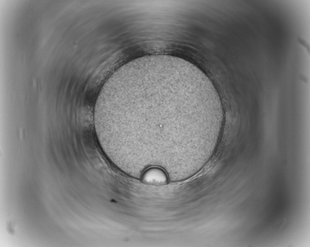 X0000103950048200810031356