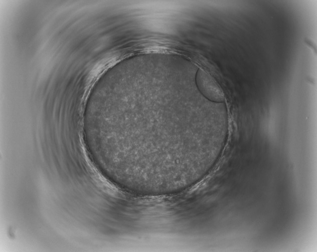 X0000103950049200810031355