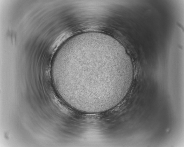 X0000103950050200810031355