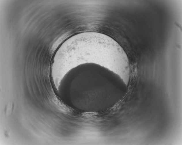 X0000103950051200810031355