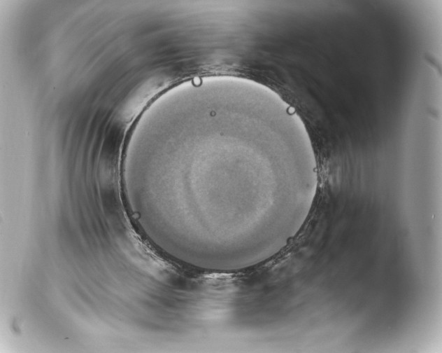 X0000103950052200810031355