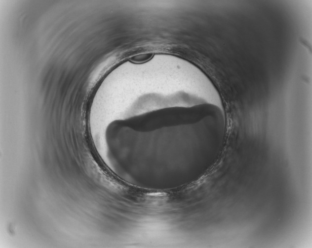 X0000103950053200810031355