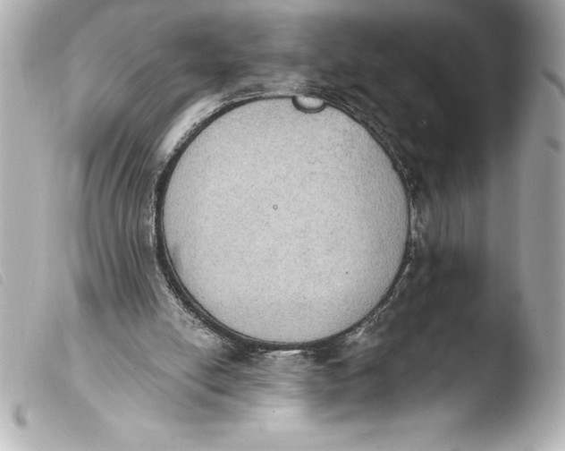 X0000103950054200810031355