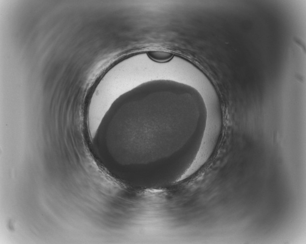 X0000103950055200810031355