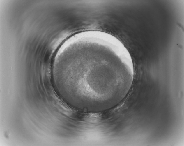 X0000103950056200810031356