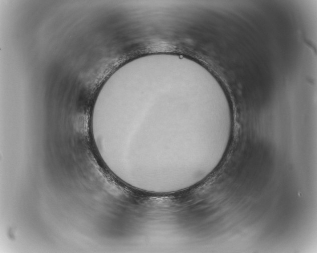 X0000103950057200810031356