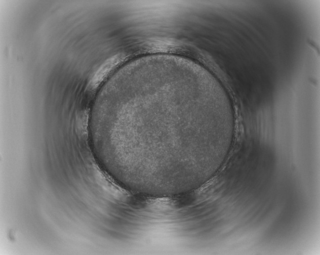 X0000103950058200810031356