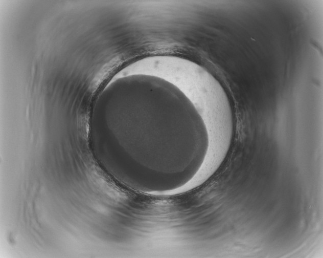 X0000103950059200810031356