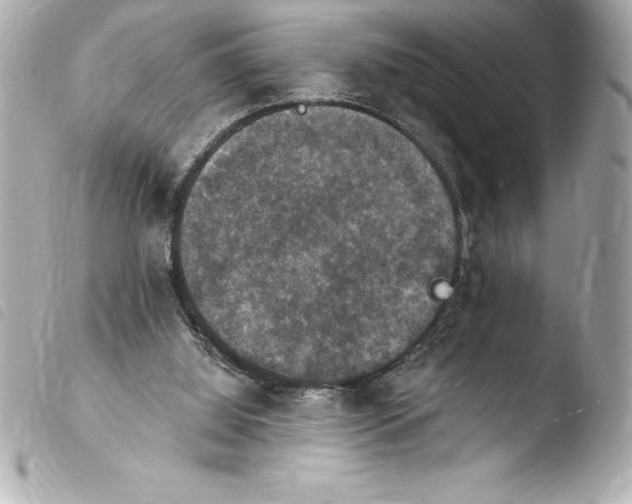 X0000103950060200810031356