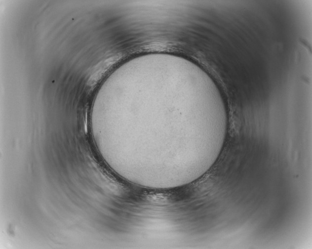 X0000103950062200810031356