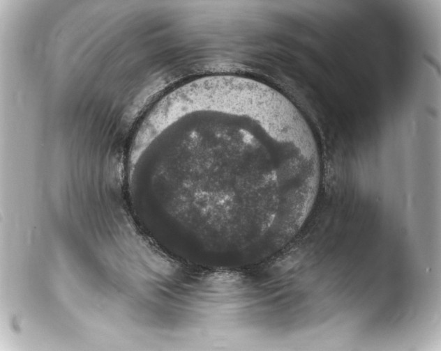 X0000103950063200810031356