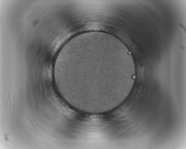 X0000103950064200810031356