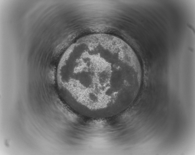 X0000103950065200810031356