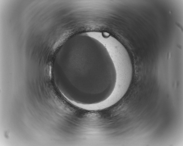 X0000103950067200810031356