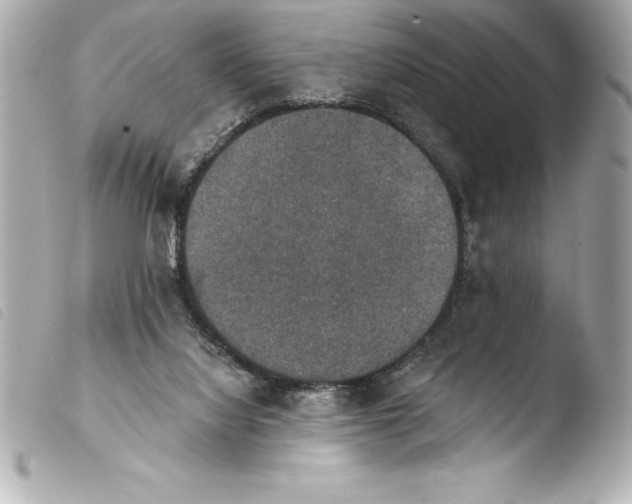 X0000103950068200810031356